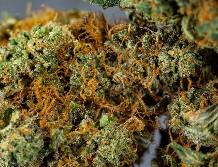 death bubba strain weed 1