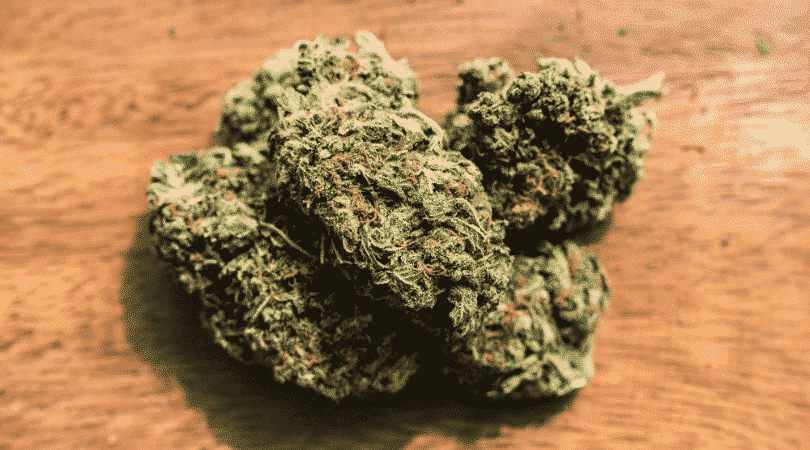 The 9 Strongest Indica Strains on Earth Right Now