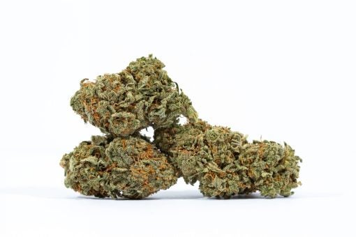 WIFI OG marijuana strain canada buy online