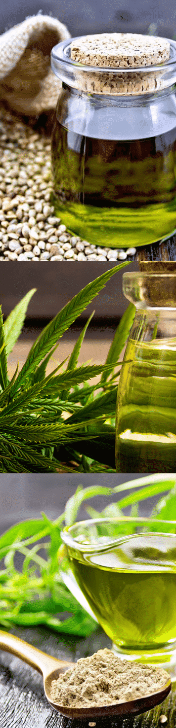 cannabis oil characteristics guide