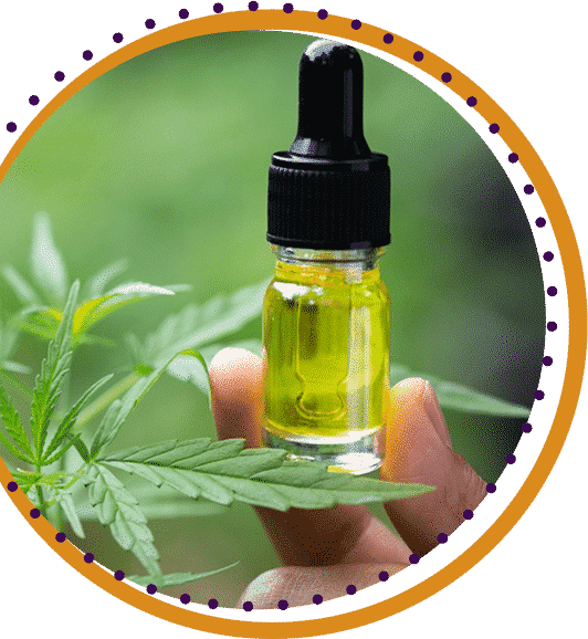 how to take cannabis oil guide
