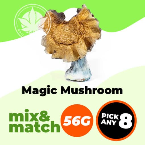 Magic Mushroom (56G) - Mix & Match - Pick Any 8