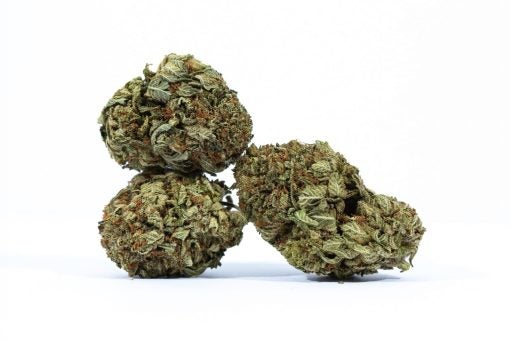 SOUR KUSH weed strain buy online canada