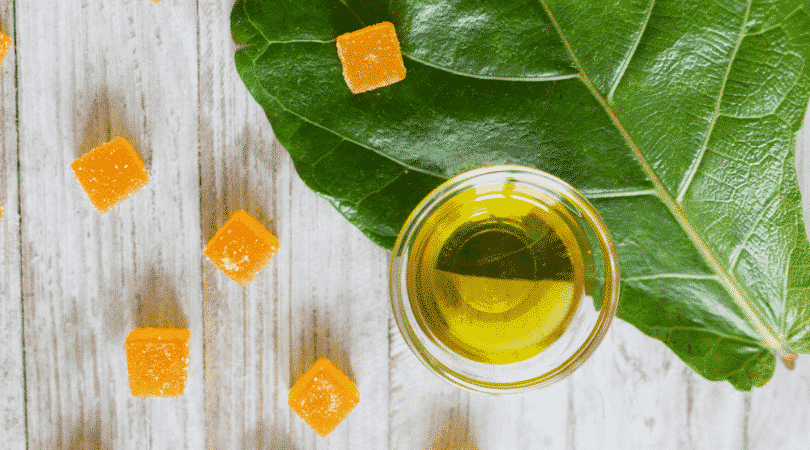 3 Daily Uses of CBD Gummies and Their Lifestyle Benefits