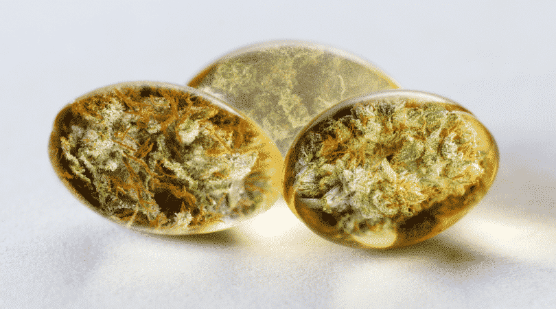 Everything You Need to Know About Cannabis Capsules