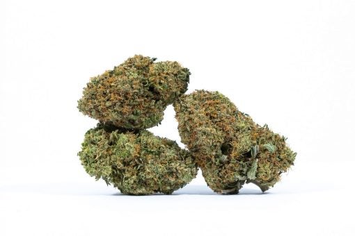 CITRIQUE cannabis strain buy online canada