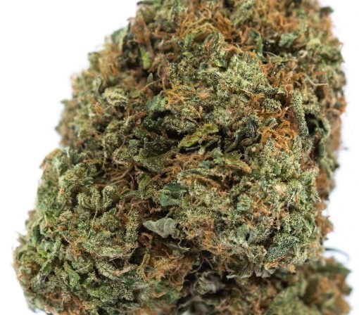 CITRIQUE weed strain buy online canada