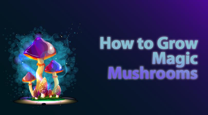 How to Grow Magic Mushrooms