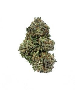 BLACKBERRY CREAM marijuana strain buy online canada