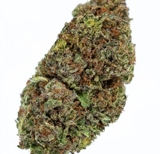 BLUE MAGOO marijuana strain buy online canada