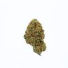 CITRAL GLUE cannabis strain buy online canada