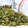 Death Bubba POP weed strain canada buy online