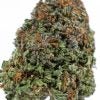 MANDARINE COOKIES weed strain canada buy online