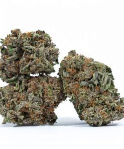 PLAT GSC marijuana strain canada buy online