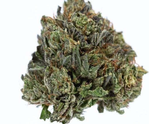 PURPLE CHEMDAWG cannabis strain buy online canada