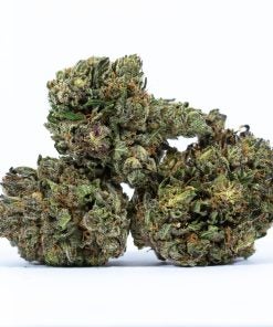 PURPLE CHEMDAWG marijuana strain buy online canada