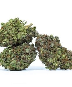 PURPLE MONKEY marijuana strain buy online canada