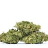 Papaya marijuana strain buy online canada