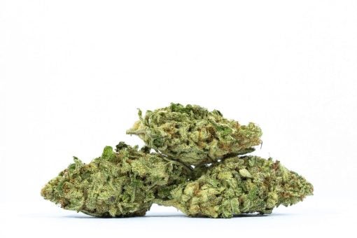 Papaya marijuana strain buy online canada