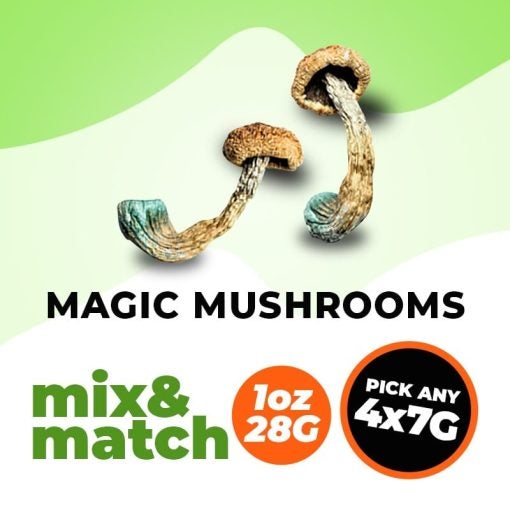 Magic Mushrooms M&M 28g