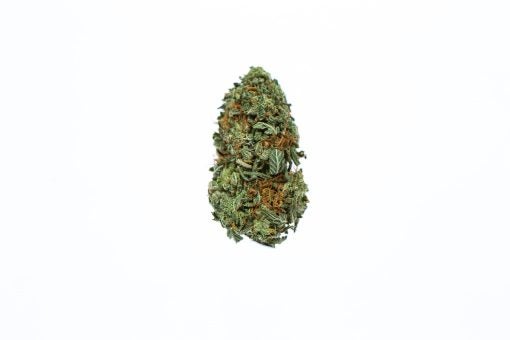 RECON-cannabis-strain-Buy-Online-Canada