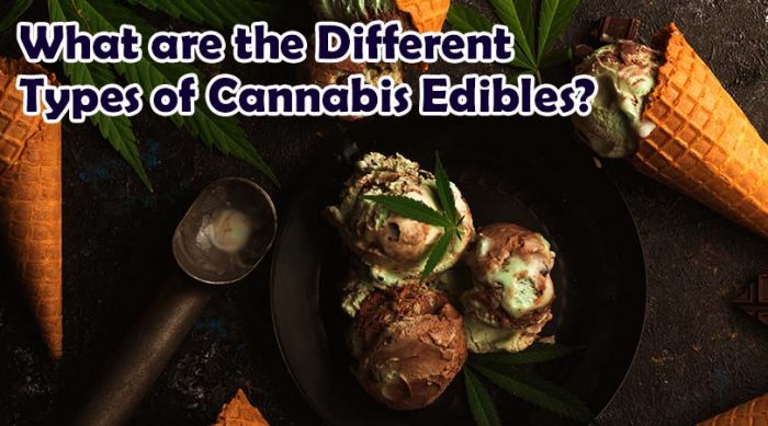 What are the Different Types Of Cannabis Edibles