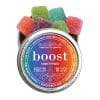 Boost Gummies Variety Pack