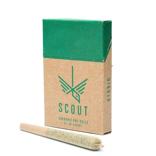 Scout cannabis pre-rolls 2