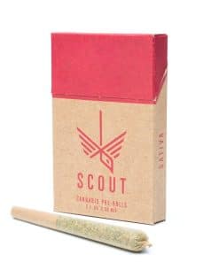 Scout cannabis pre-rolls